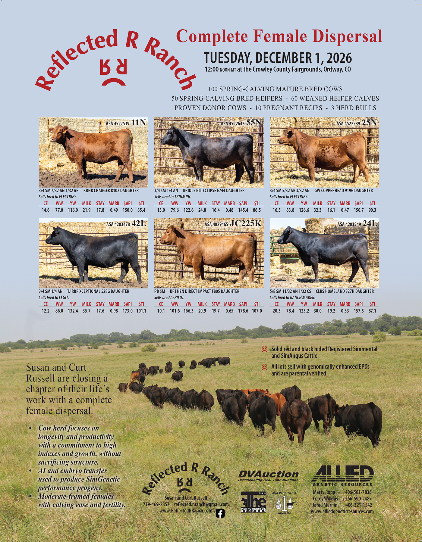 Reflected R Ranch complete female dispersal sale flyer